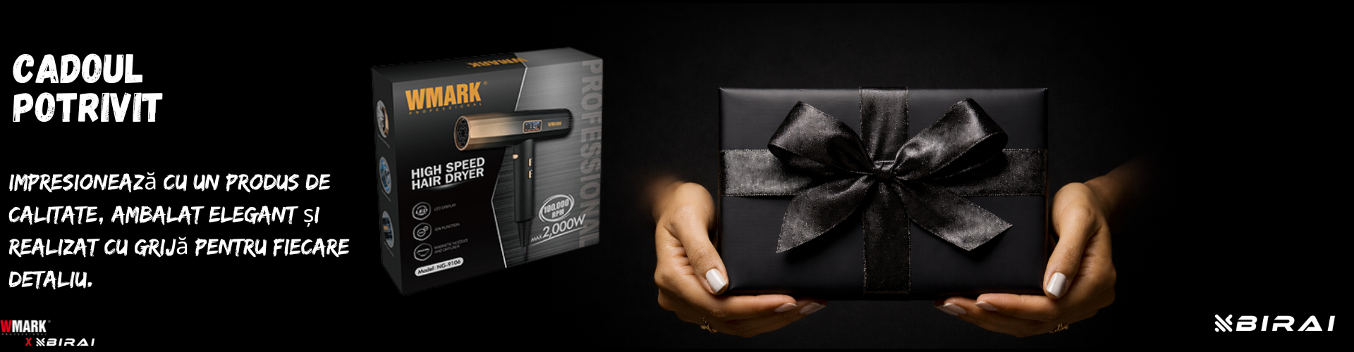 Uscator de par profesional BIRAI AERIX PRO – pentru uz profesional