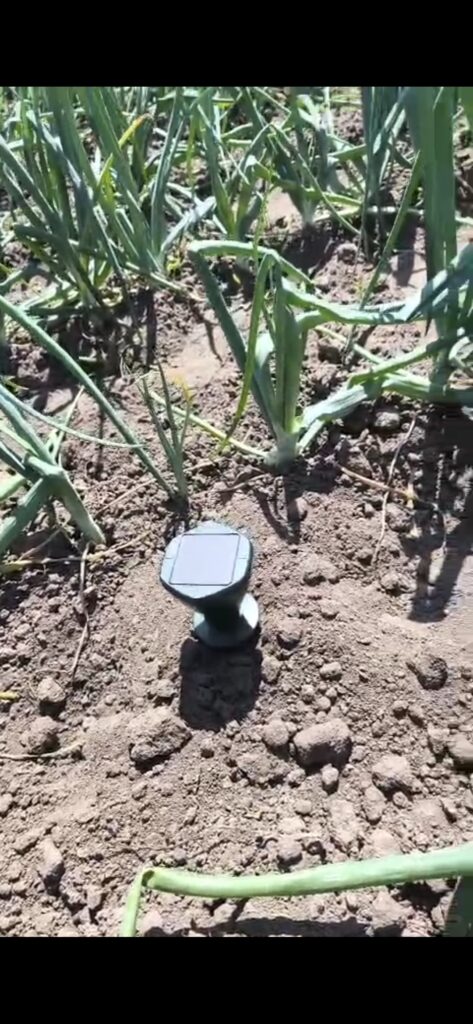 Image #1 from Sebastian Banel