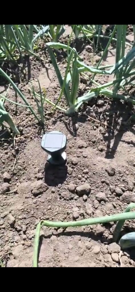 Image #2 from Sebastian Banel